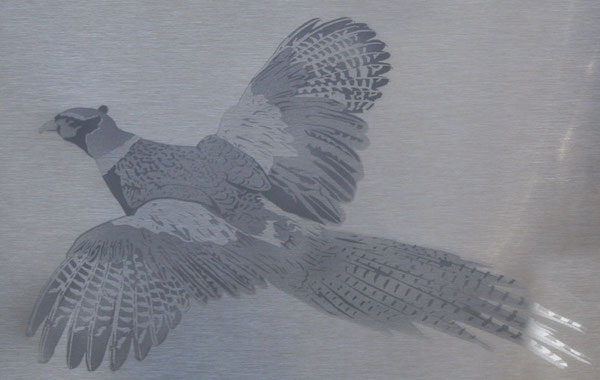 Detailed Flying Pheasant
