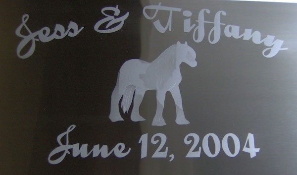 Jess and Tiffany Horse